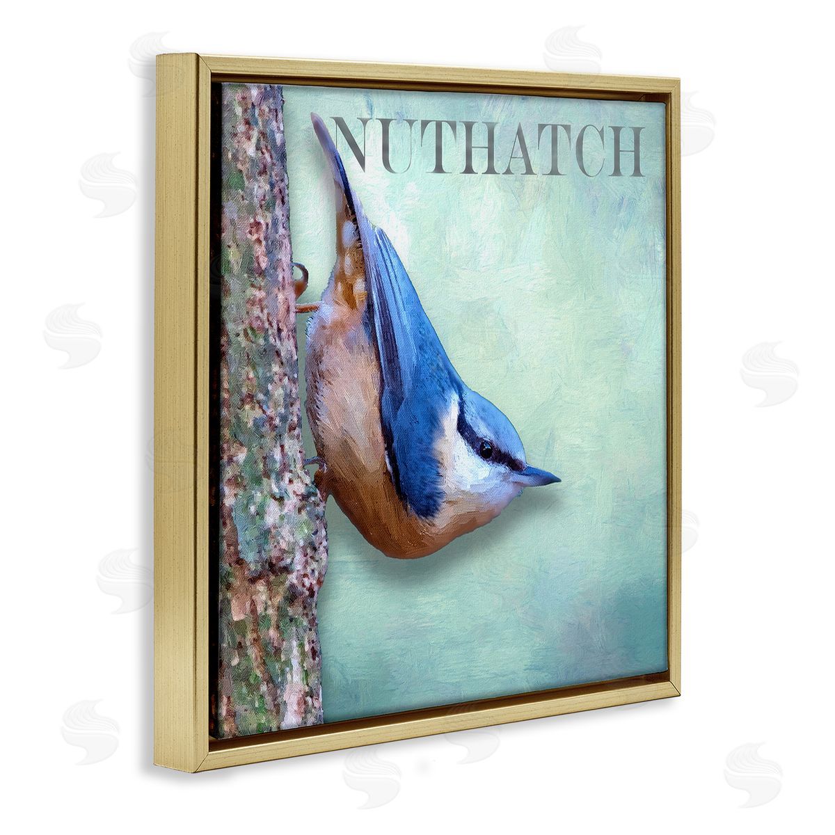 Alpenglow Workshop Blue Nuthatch Bird Climbing Tree Forest Wildlife Gold Floating Frame Canvas Wall Art Print