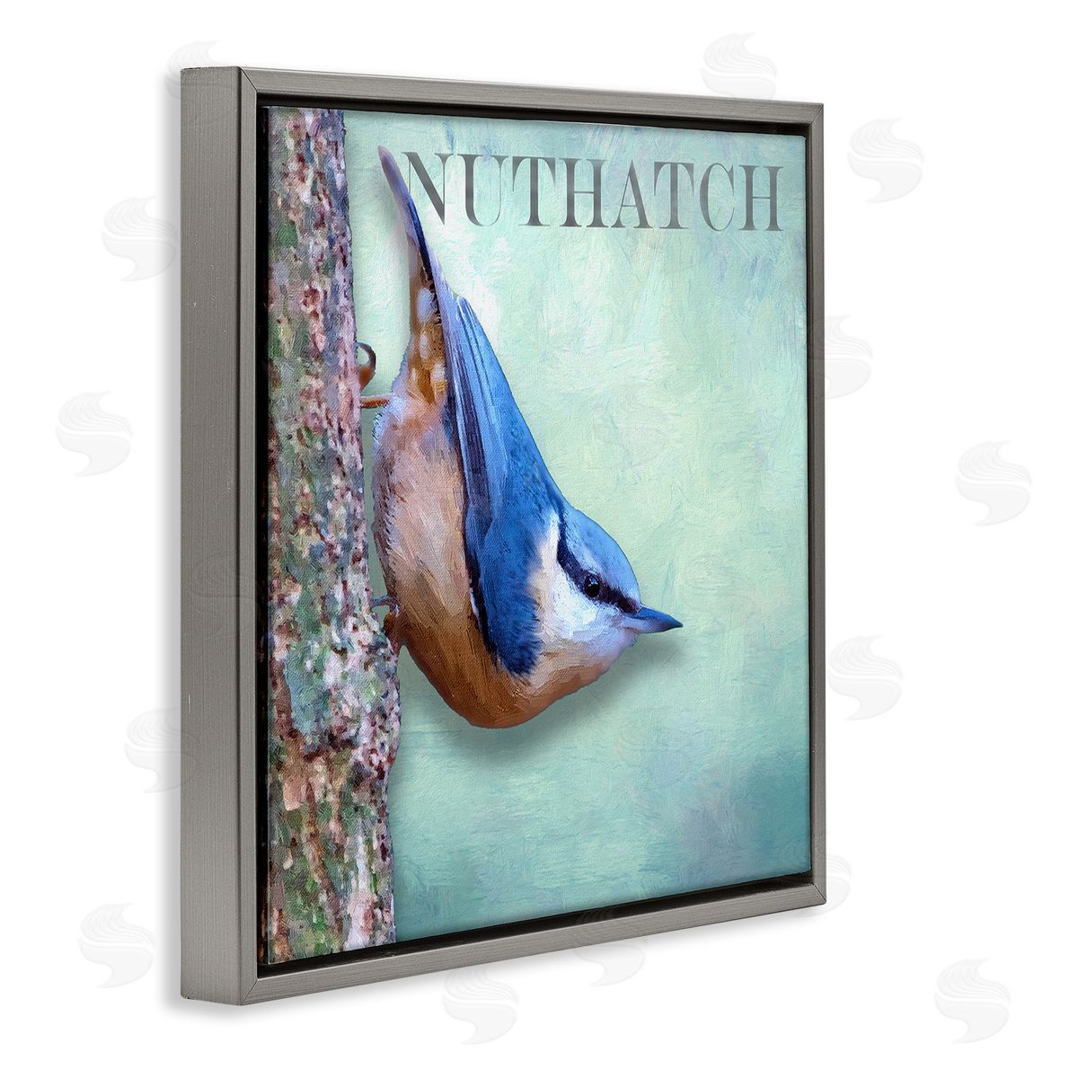 Alpenglow Workshop Blue Nuthatch Bird Climbing Tree Forest Wildlife Gray Floating Frame Canvas Wall Art Print