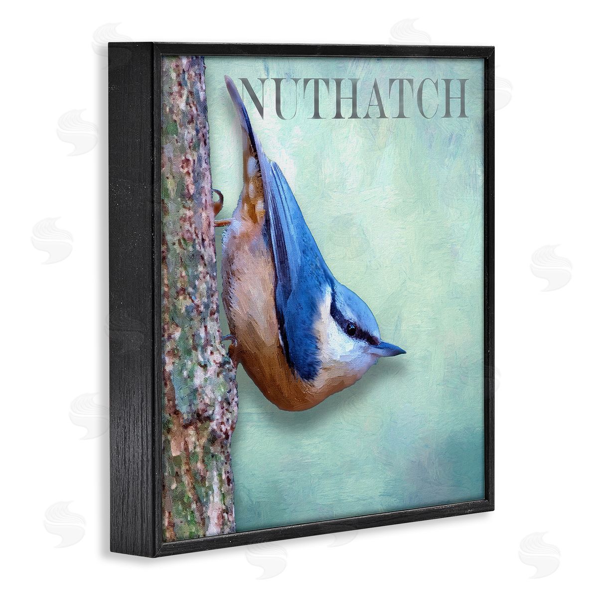Alpenglow Workshop Blue Nuthatch Bird Climbing Tree Forest Wildlife Black Framed Glicee Wall Art Print