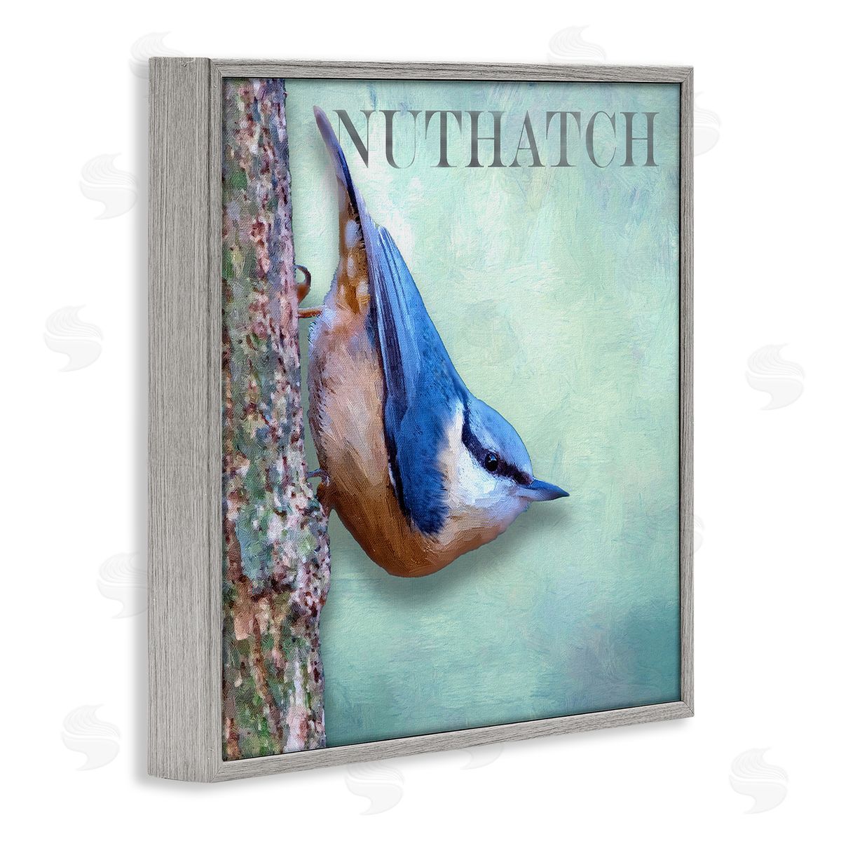 Alpenglow Workshop Blue Nuthatch Bird Climbing Tree Forest Wildlife Gray Framed Glicee Wall Art Print