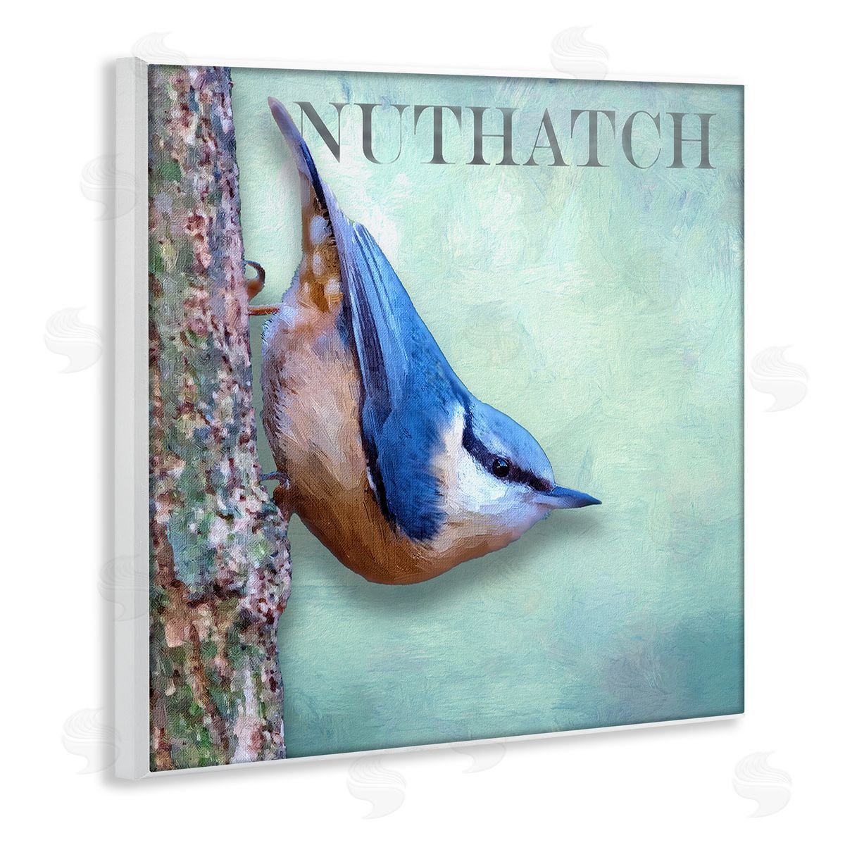 Alpenglow Workshop Blue Nuthatch Bird Climbing Tree Forest Wildlife Wooden Wall Plaque Art Print