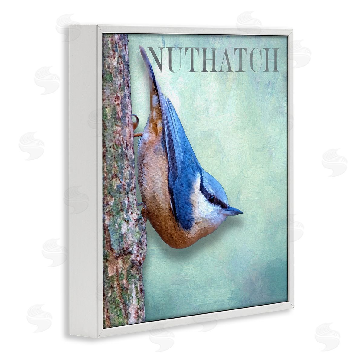 Alpenglow Workshop Blue Nuthatch Bird Climbing Tree Forest Wildlife White Framed Glicee Wall Art Print