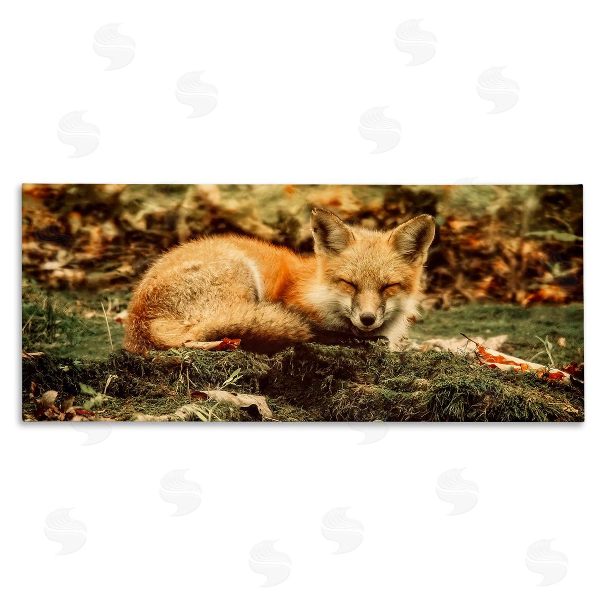 Carrie Ann Grippo-Pike Sleeping Fox Kit Peaceful Forest Floor Lush Nature