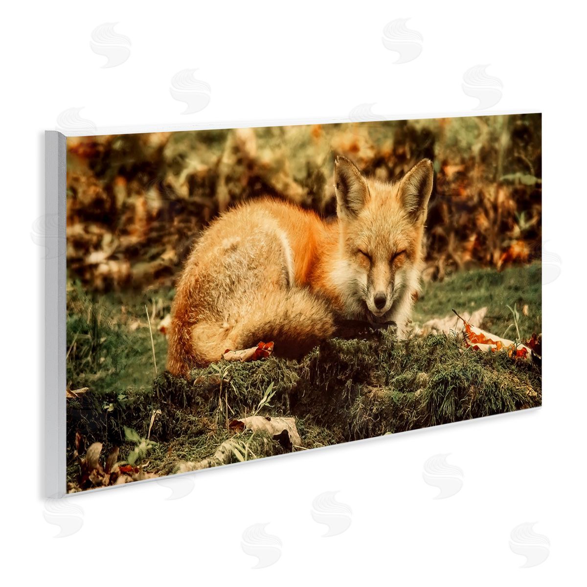 Carrie Ann Grippo-Pike Sleeping Fox Kit Peaceful Forest Floor Lush Nature
