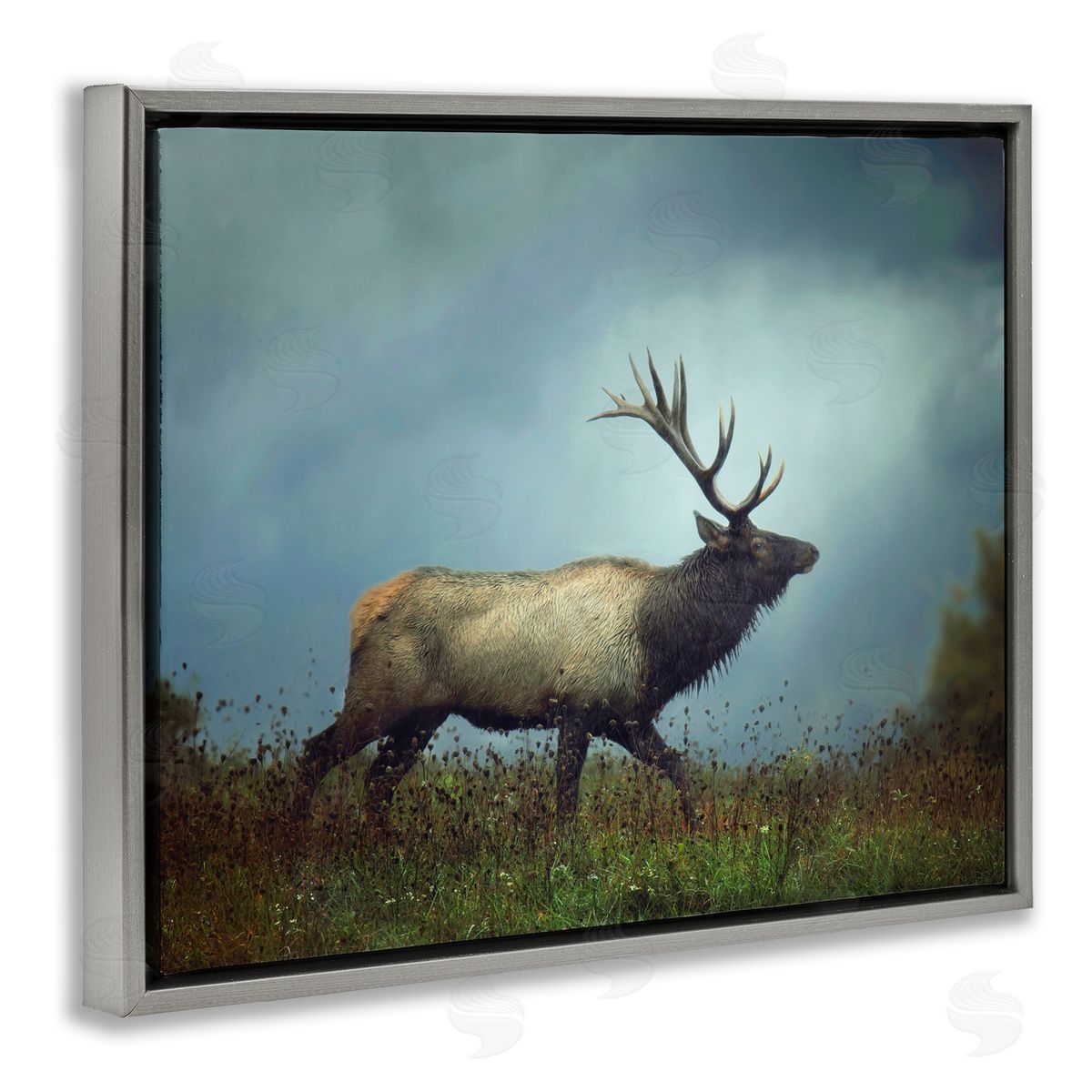 Carrie Ann Grippo-Pike Serene Elk in Nighttime Clearing Wildlife Photography Gray Floating Frame Canvas Wall Art Print