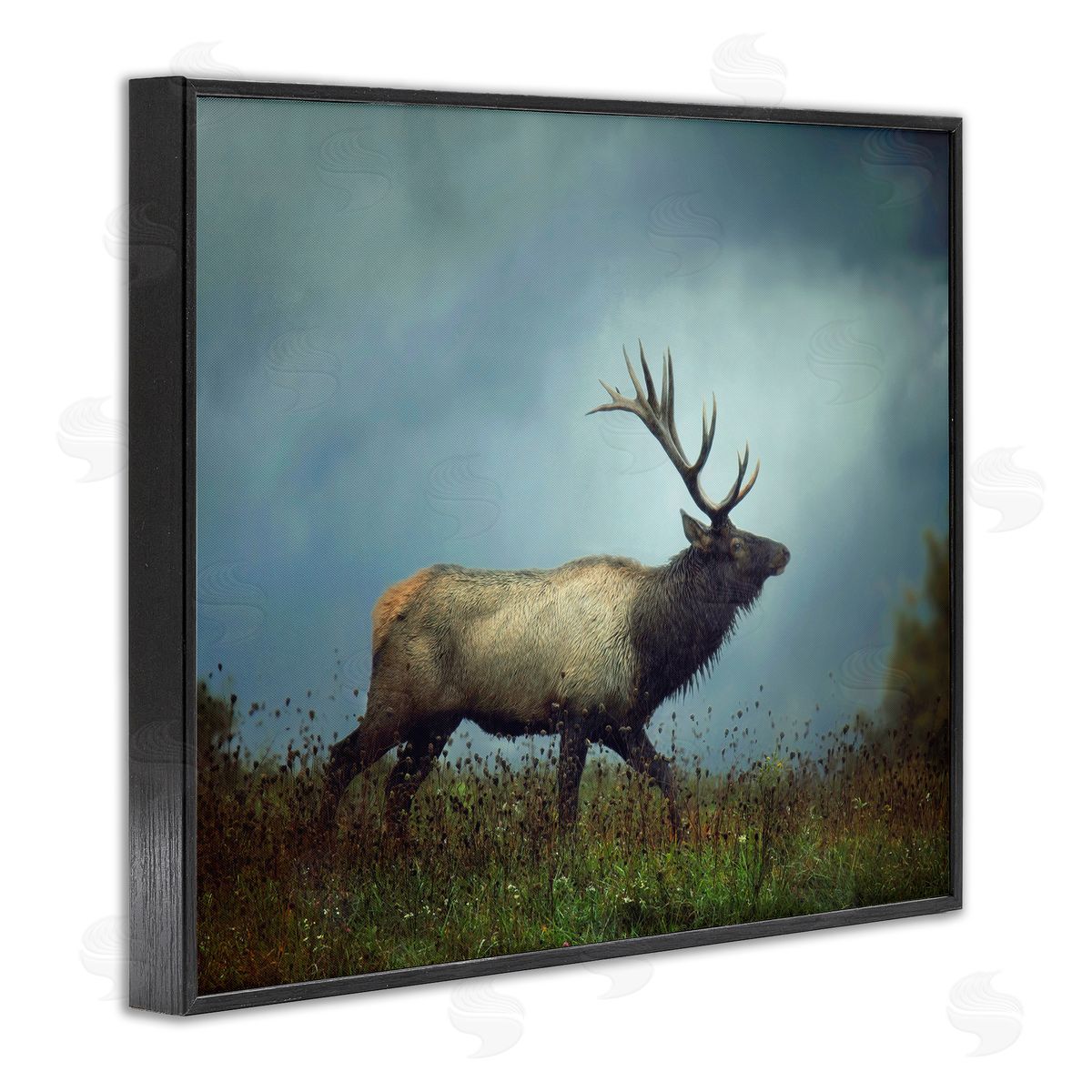 Carrie Ann Grippo-Pike Serene Elk in Nighttime Clearing Wildlife Photography Black Framed Giclee Wall Art Print