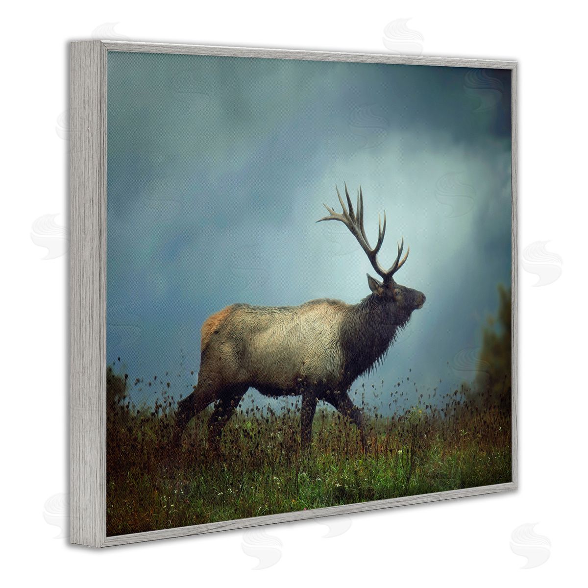 Carrie Ann Grippo-Pike Serene Elk in Nighttime Clearing Wildlife Photography Gray Framed Giclee Wall Art Print