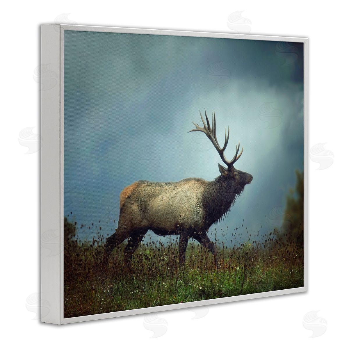 Carrie Ann Grippo-Pike Serene Elk in Nighttime Clearing Wildlife Photography White Framed Giclee Wall Art Print