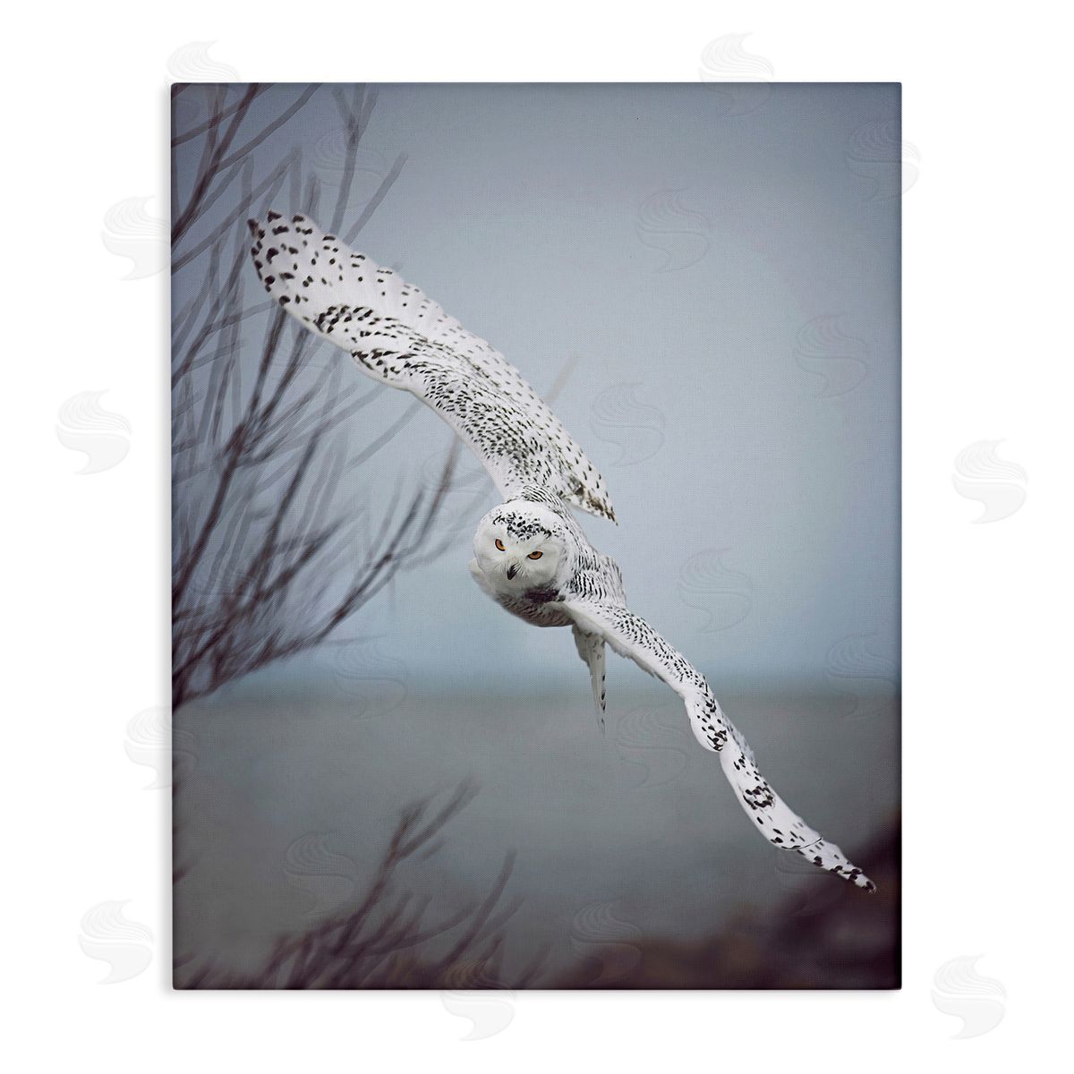 Carrie Ann Grippo-Pike Majestic Snowy Owl Flying Wingspan Wildlife Photography Stretched Canvas Wall Art Print