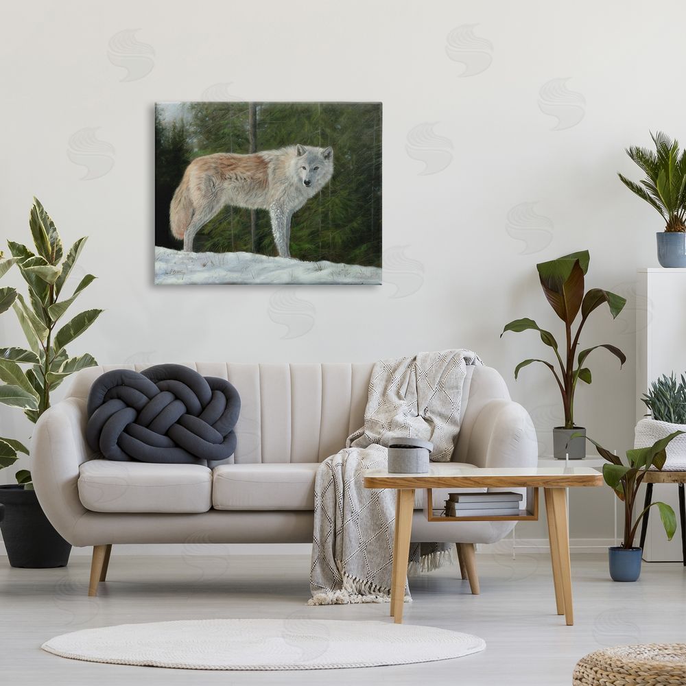 David Stribbling Wild Coyote Wolf Gazing Snowy Forest Clearing Canvas Wall Art Print in Room