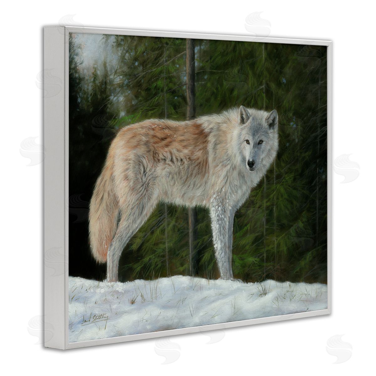 David Stribbling Wild Coyote Wolf Gazing Snowy Forest Clearing White Framed Giclee Wall Art Print