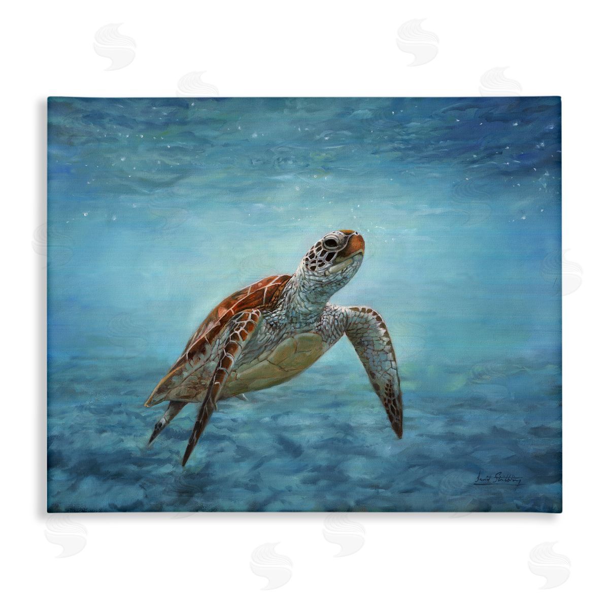 David Stribbling Sea Turtle Underwater Marine Scene Deep Ocean Water Stretched Canvas Wall Art Print