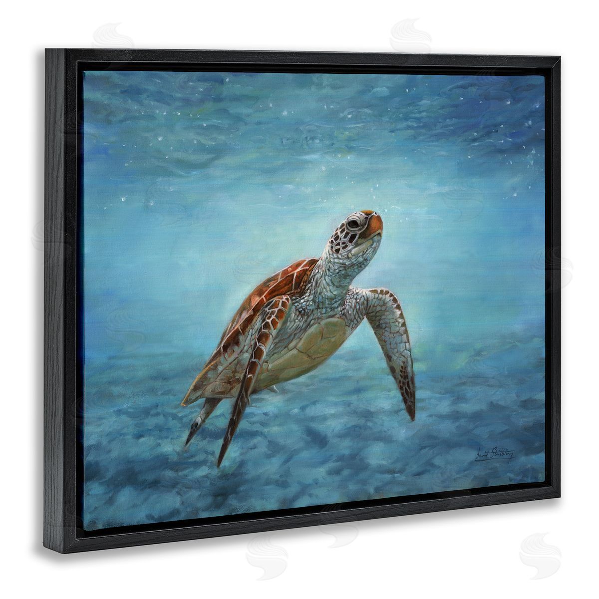 David Stribbling Sea Turtle Underwater Marine Scene Deep Ocean Water Black Floating Frame Canvas Wall Art Print