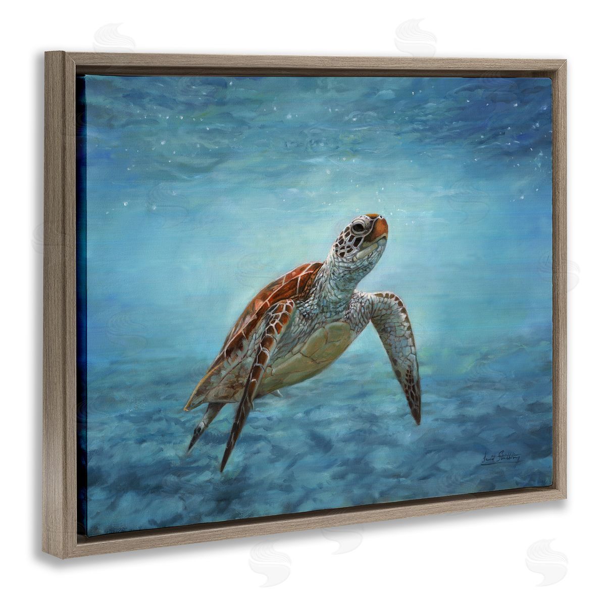 David Stribbling Sea Turtle Underwater Marine Scene Deep Ocean Water Brown Floating Frame Canvas Wall Art Print
