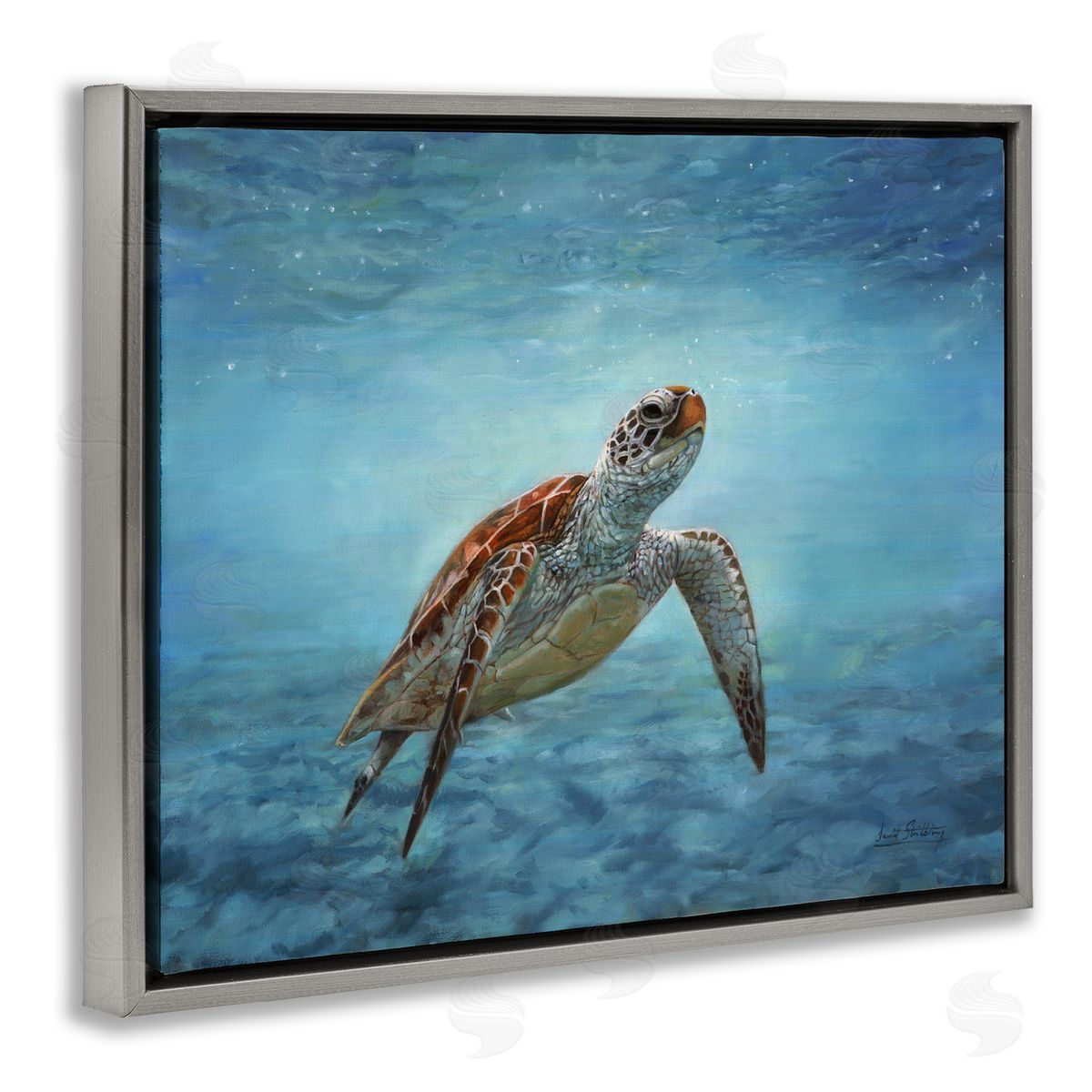 David Stribbling Sea Turtle Underwater Marine Scene Deep Ocean Water Gray Floating Frame Canvas Wall Art Print