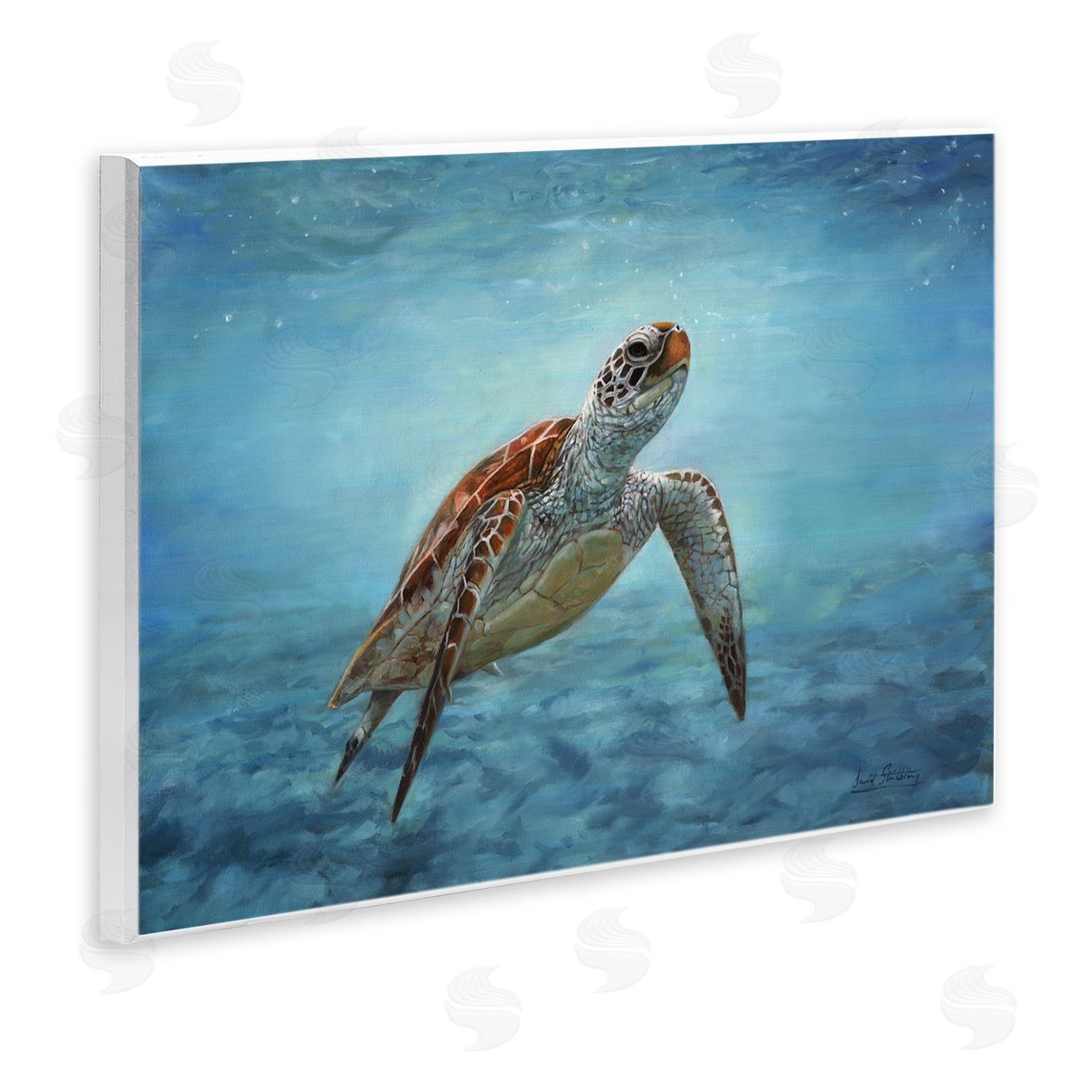 David Stribbling Sea Turtle Underwater Marine Scene Deep Ocean Water Wall Plaque Art Print