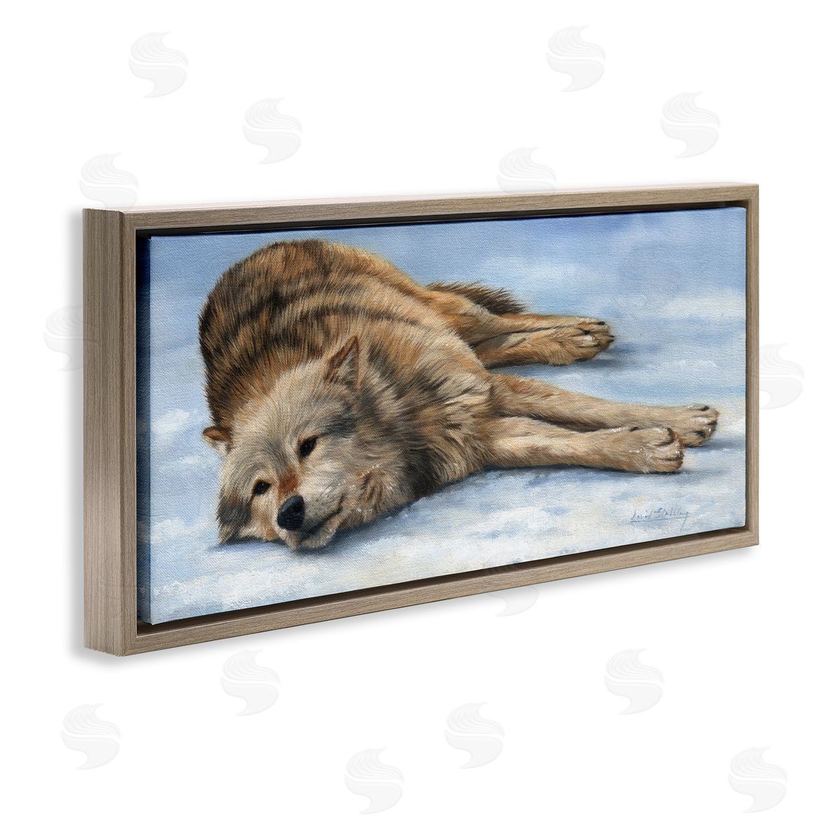 David Stribbling Coyote Wolf Resting Snowy Landscape Woodland Wildlife