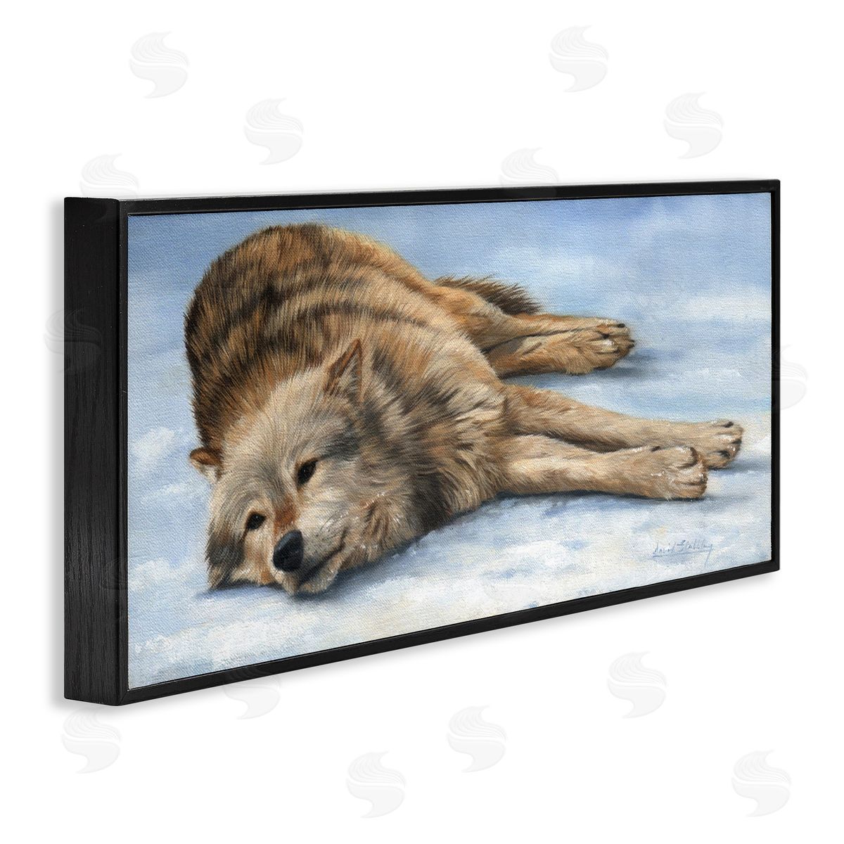 David Stribbling Coyote Wolf Resting Snowy Landscape Woodland Wildlife