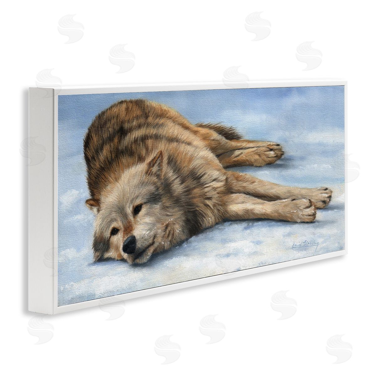 David Stribbling Coyote Wolf Resting Snowy Landscape Woodland Wildlife