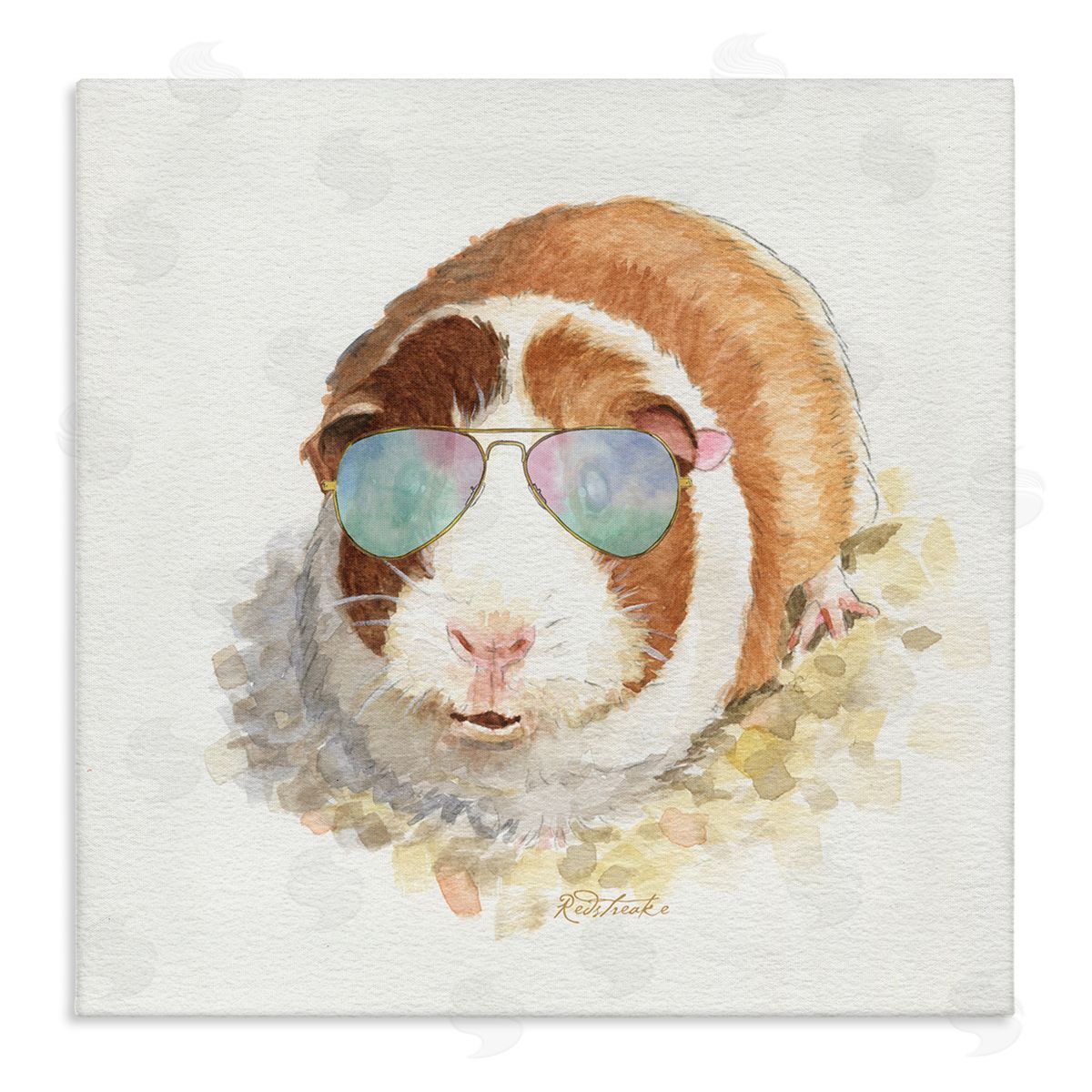 Jennifer Redstreake Happy Guinea Pig Wearing Sunglasses Cheerful Watercolor Detail Stretched Canvas Wall Art Print