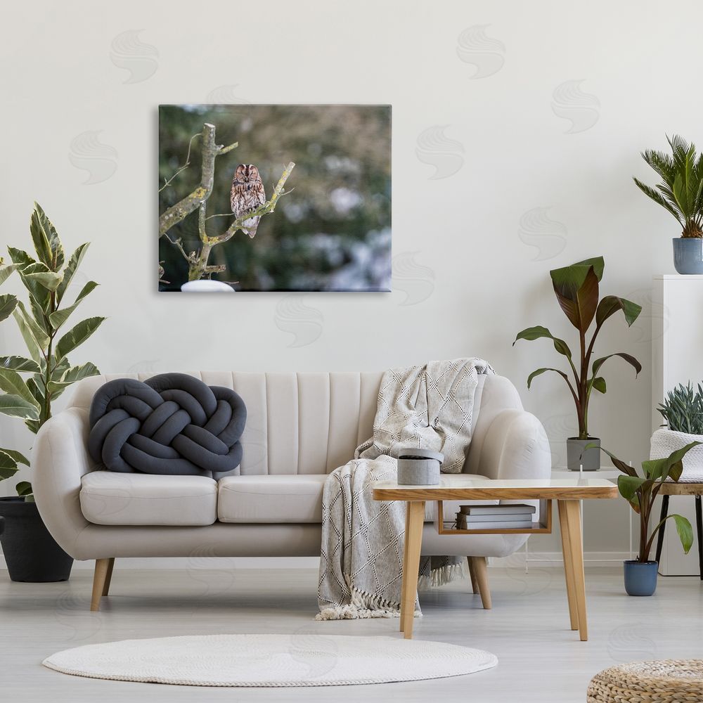 James Dobson Sleepy Owl Perched Snow Covered Nature Landscape Canvas Wall Art Print in Room