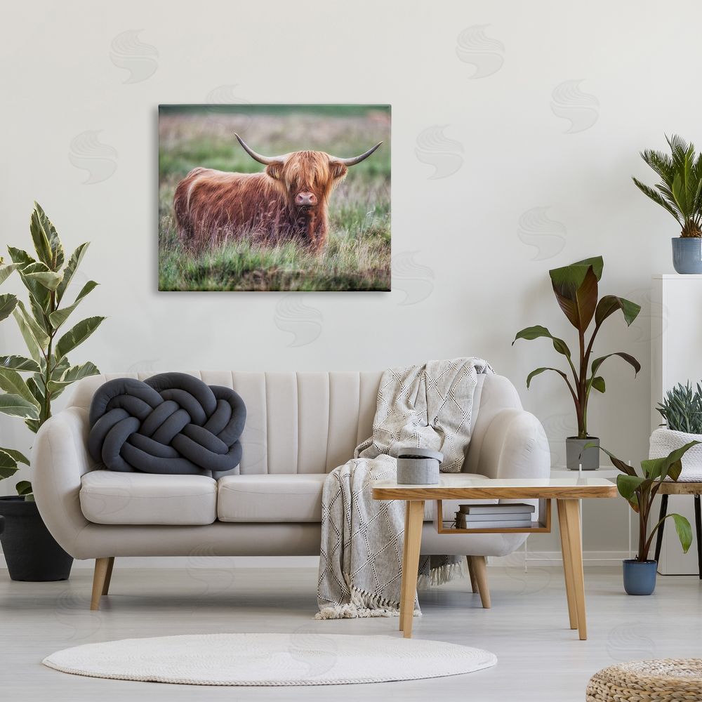 James Dobson Highland Longhorn Cattle Grazing Rural Countryside Grassland Canvas Wall Art Print in Room
