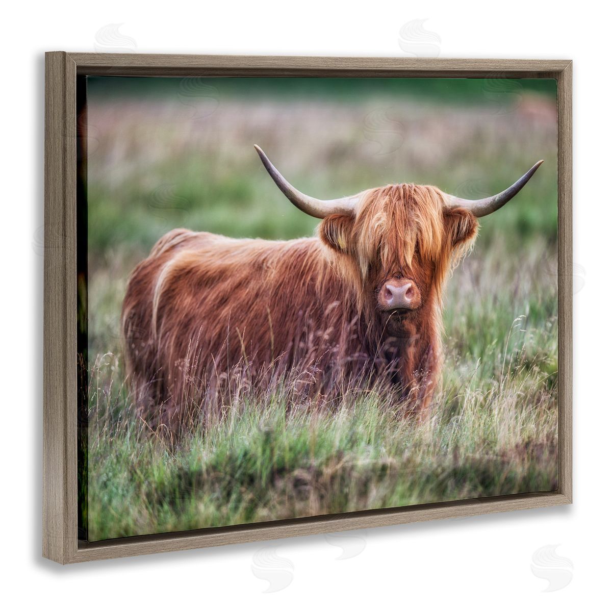 James Dobson Highland Longhorn Cattle Grazing Rural Countryside Grassland Brown Floating Frame Canvas Wall Art Print