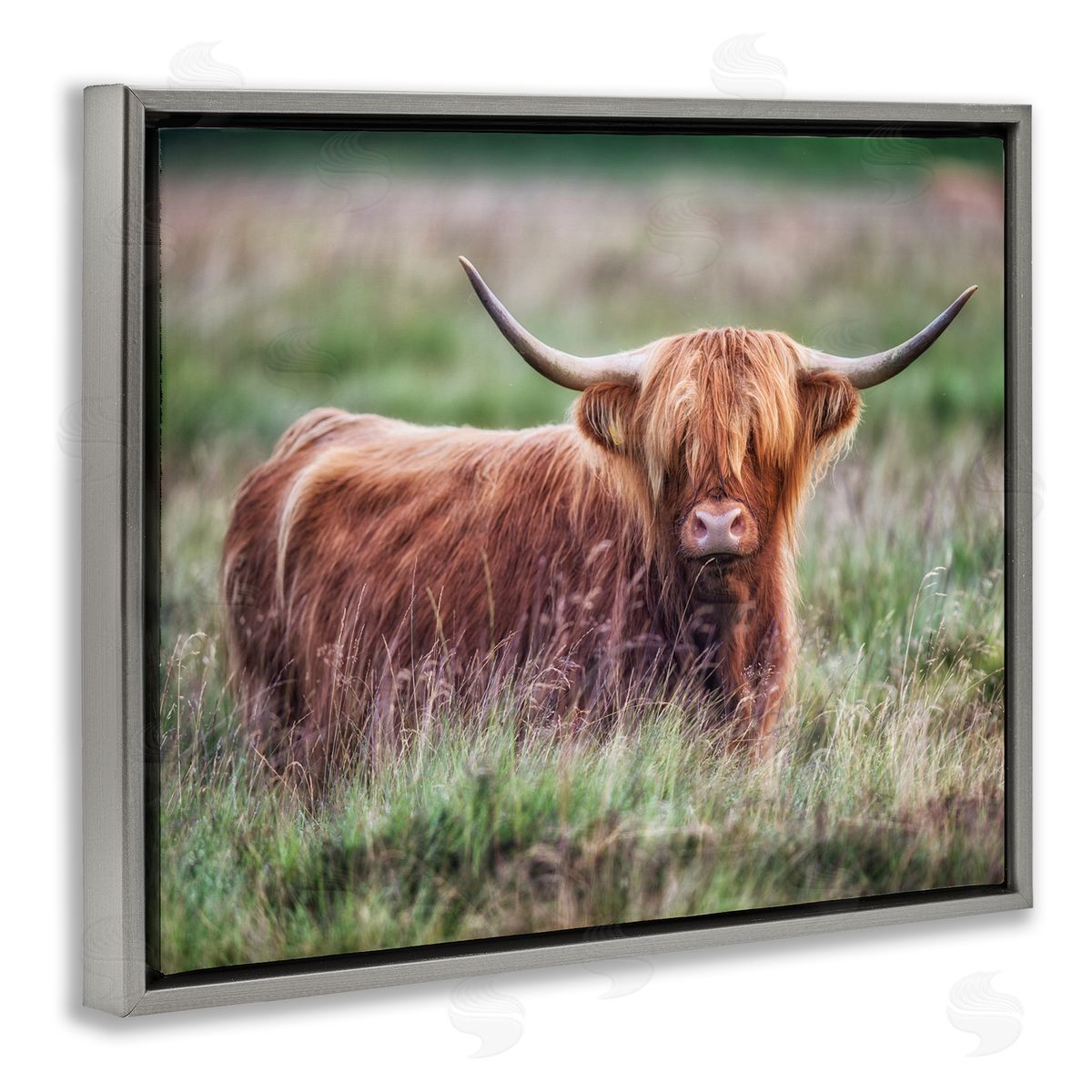 James Dobson Highland Longhorn Cattle Grazing Rural Countryside Grassland Gray Floating Frame Canvas Wall Art Print