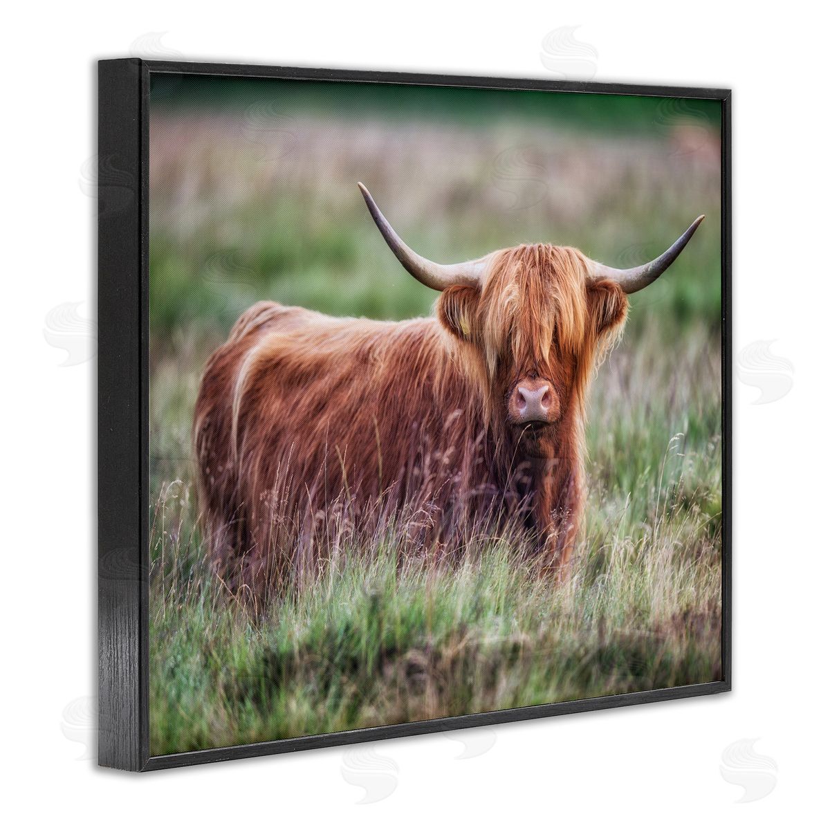 James Dobson Highland Longhorn Cattle Grazing Rural Countryside Grassland Black Framed Giclee Wall Art Print
