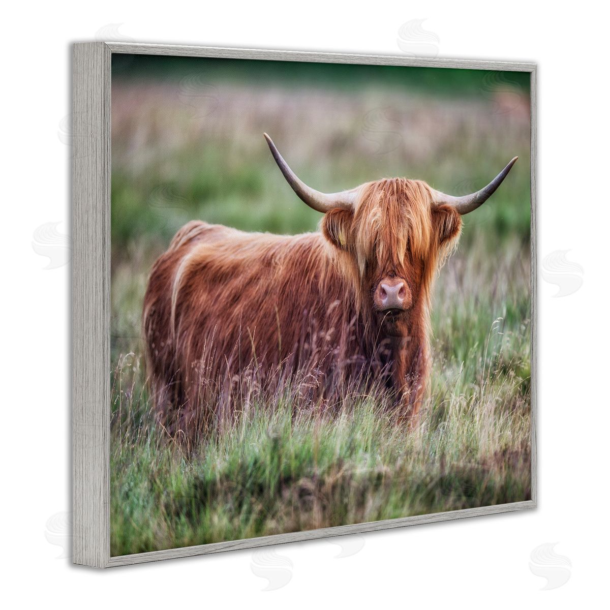 James Dobson Highland Longhorn Cattle Grazing Rural Countryside Grassland Gray Framed Giclee Wall Art Print