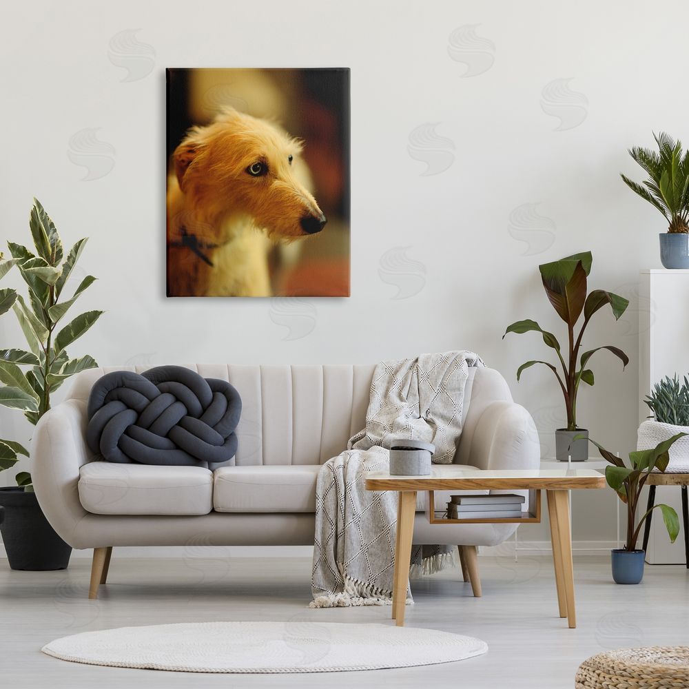 James Dobson Long Hair Terrier Dog Portrait Warm Lighting Photography Canvas Wall Art Print in Room