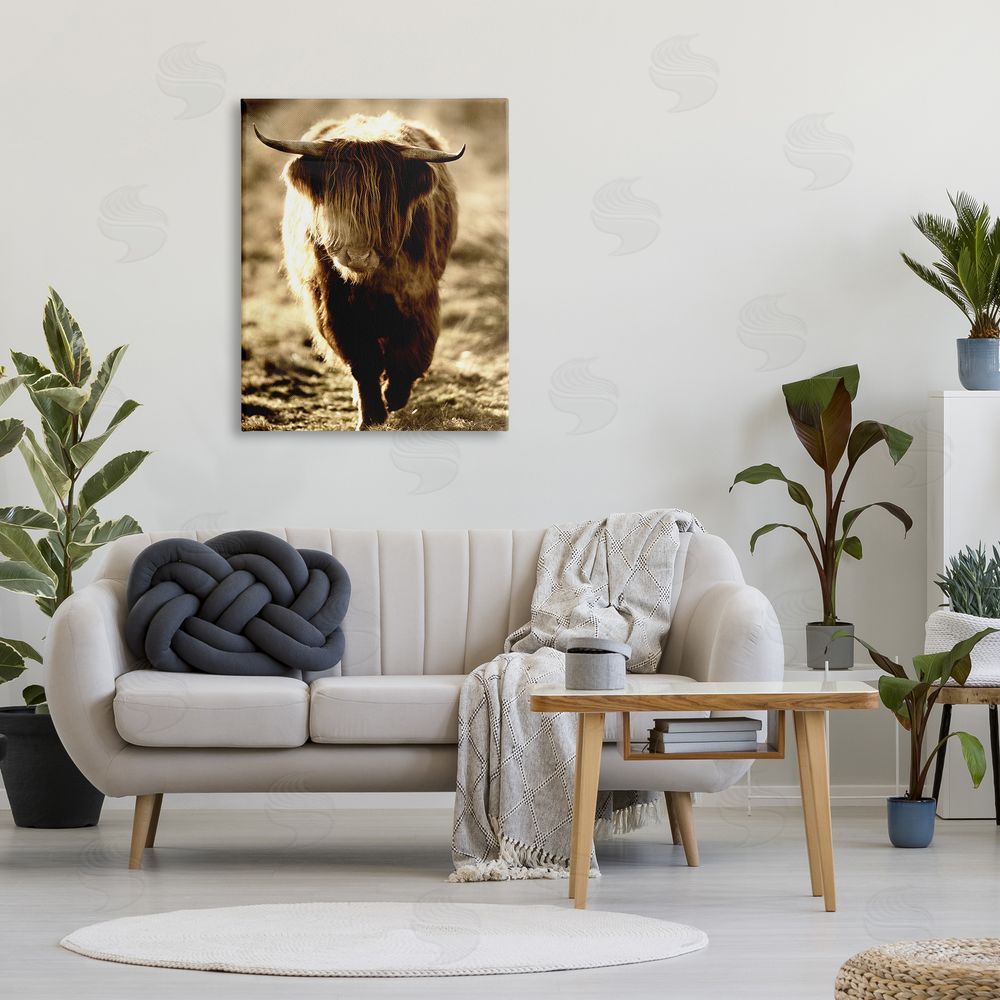 James Dobson Sunlit Highland Longhorn Cattle Wandering Rural Countryside Canvas Wall Art Print in Room