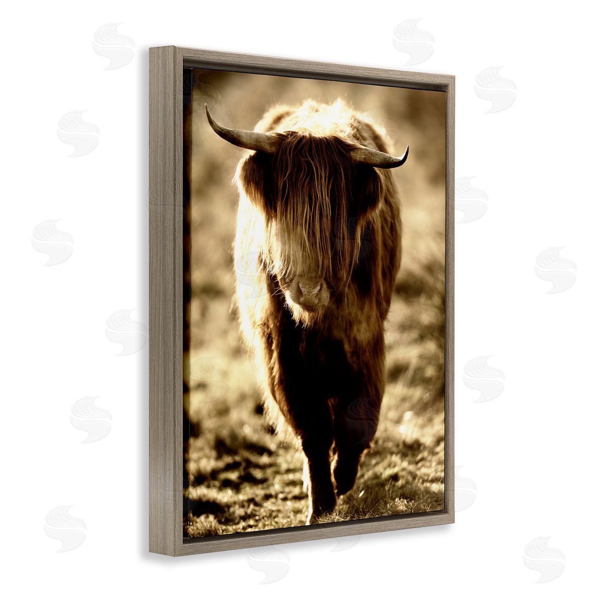 James Dobson Sunlit Highland Longhorn Cattle Wandering Rural Countryside Brown Floating Frame Canvas Wall Art Print