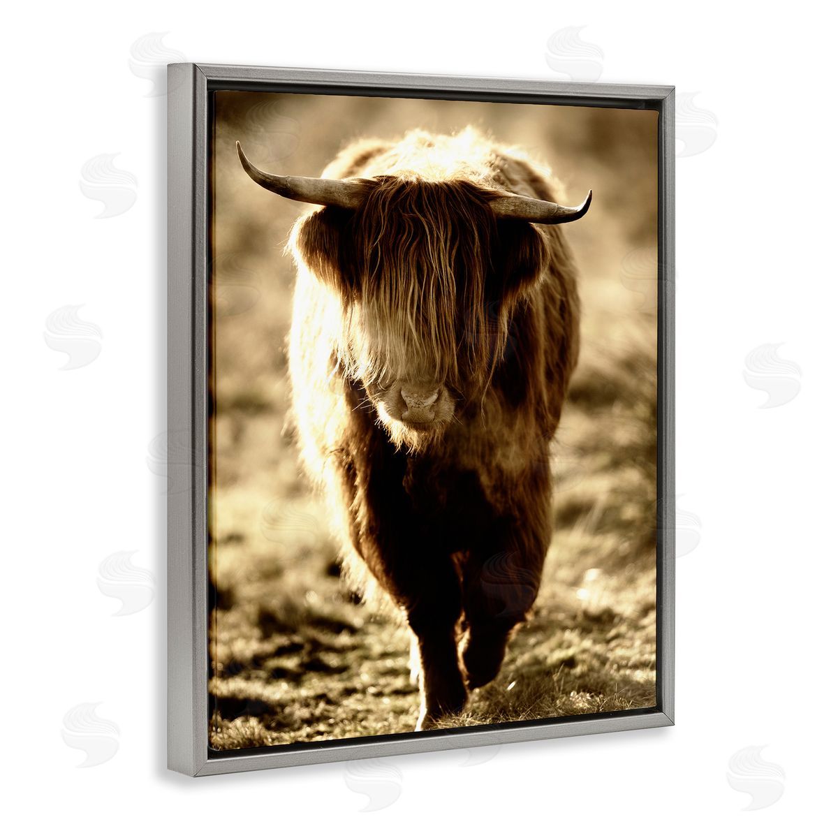 James Dobson Sunlit Highland Longhorn Cattle Wandering Rural Countryside Gray Floating Frame Canvas Wall Art Print