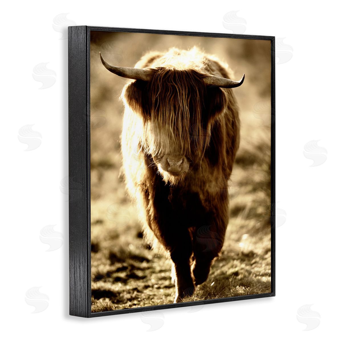 James Dobson Sunlit Highland Longhorn Cattle Wandering Rural Countryside Black Framed Giclee Wall Art Print