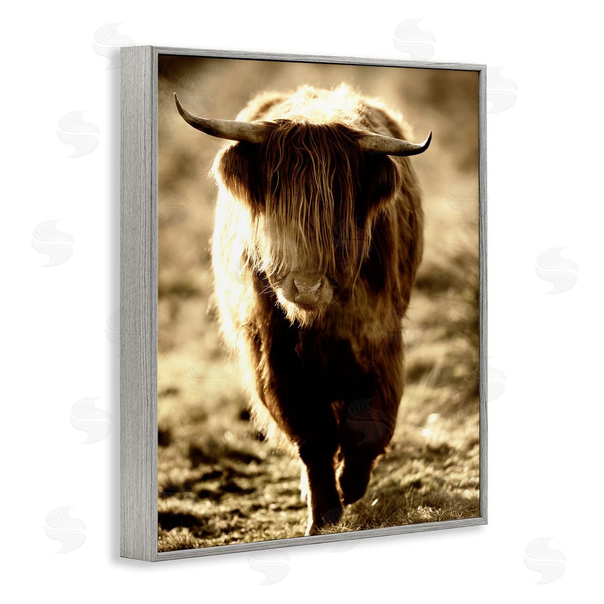 James Dobson Sunlit Highland Longhorn Cattle Wandering Rural Countryside Gray Framed Giclee Wall Art Print