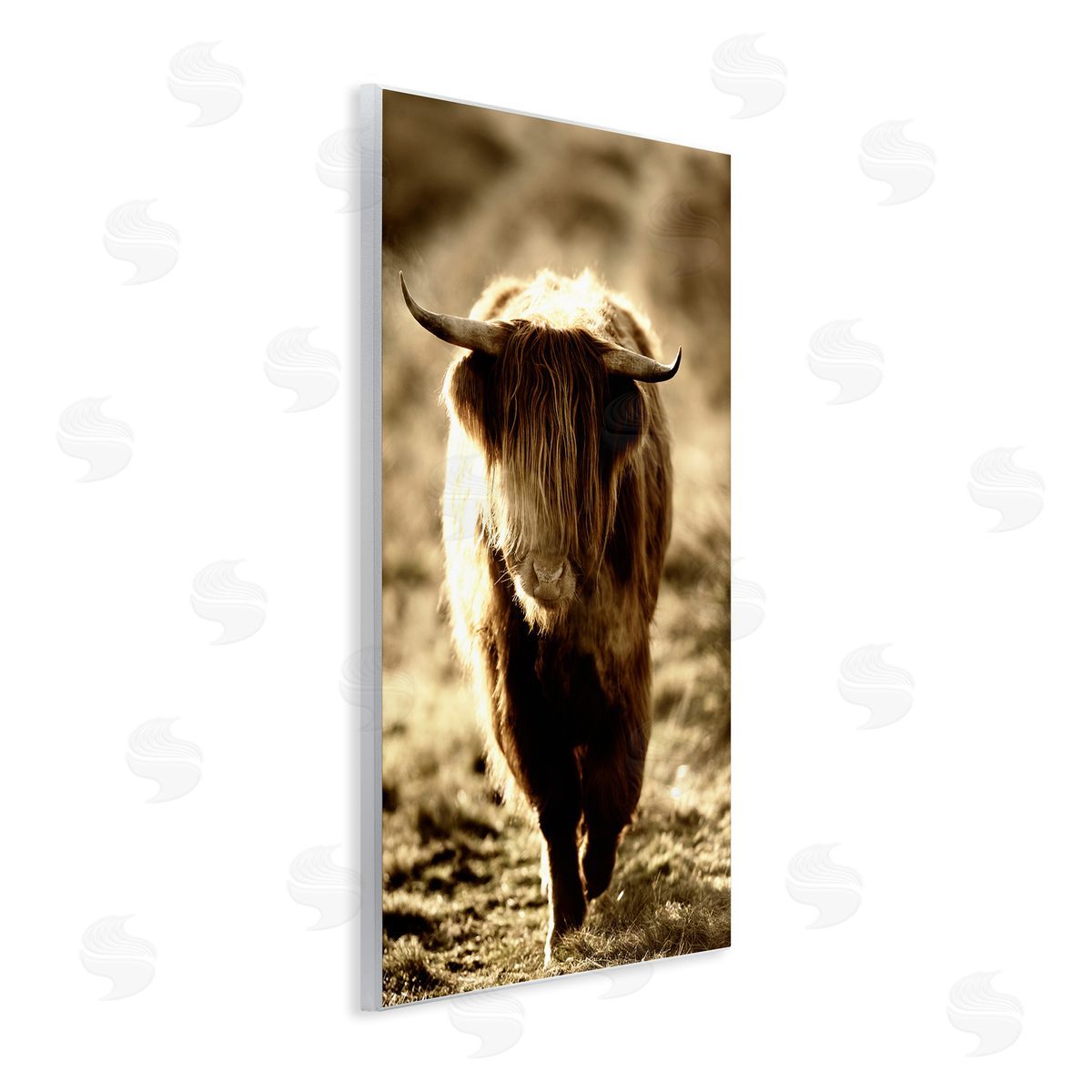 James Dobson Sunlit Highland Longhorn Cattle Wandering Rural Countryside Wall Plaque Art Print