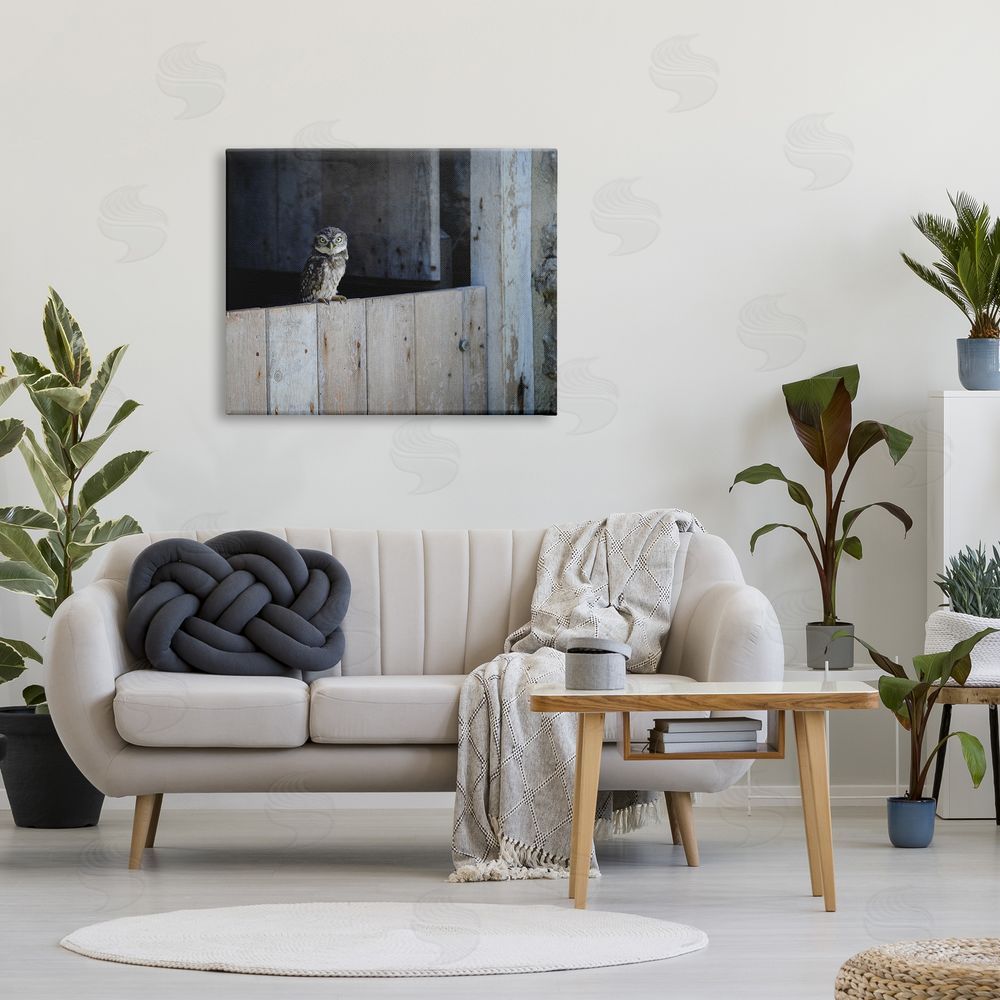 James Dobson Perched Owl Rural Barn Ledge Wildlife Photography Canvas Wall Art Print in Room