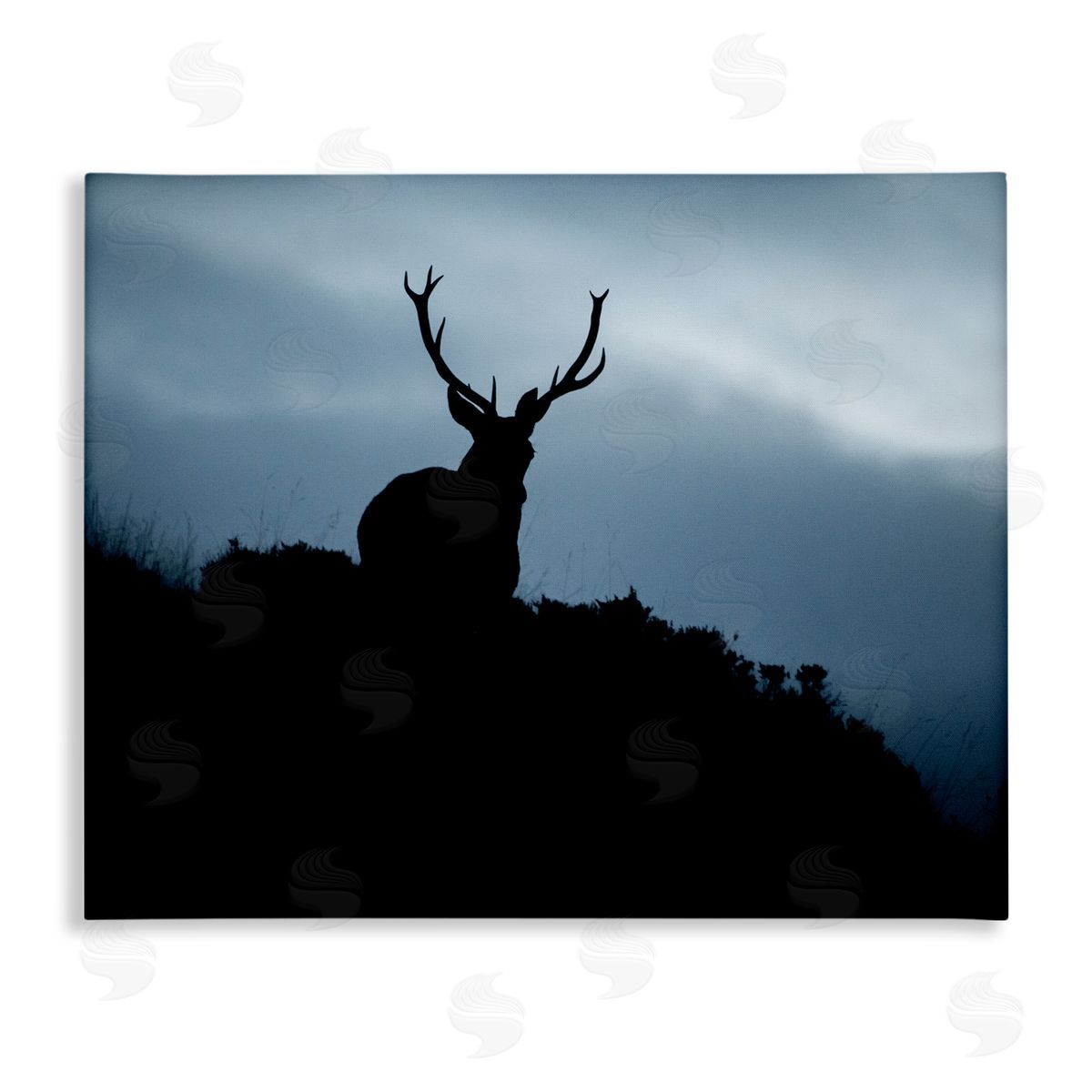 James Dobson Elk Silhouette At Dusk Deep Blue Night Sky  Stretched Canvas Wall Art Print