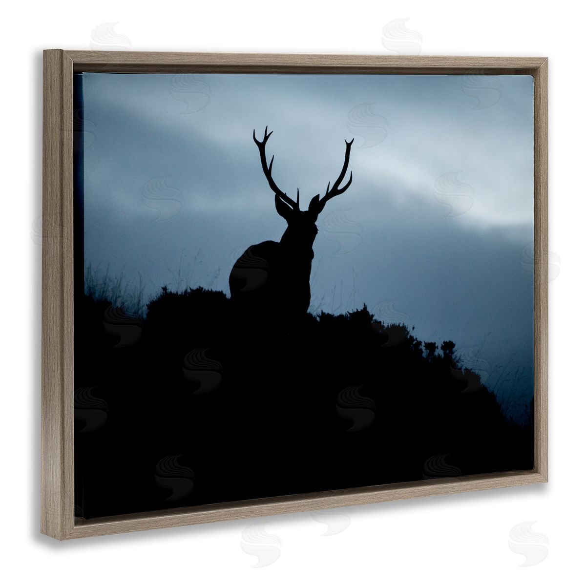 James Dobson Elk Silhouette At Dusk Deep Blue Night Sky  Brown Floating Frame Canvas Wall Art Print