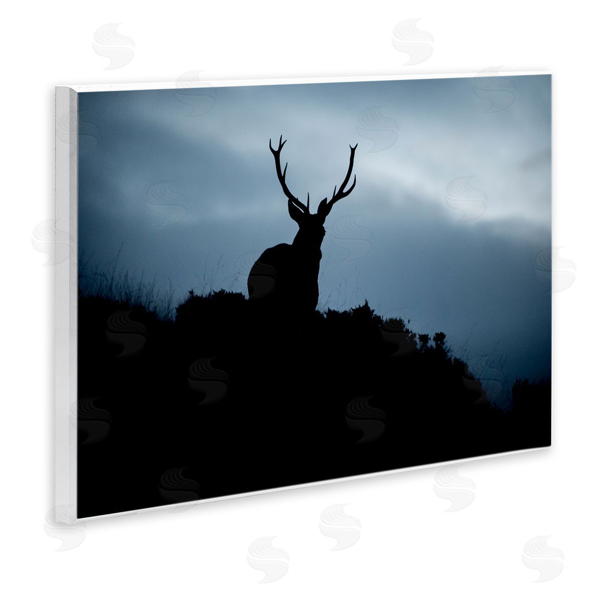 James Dobson Elk Silhouette At Dusk Deep Blue Night Sky  Wall Plaque Art Print
