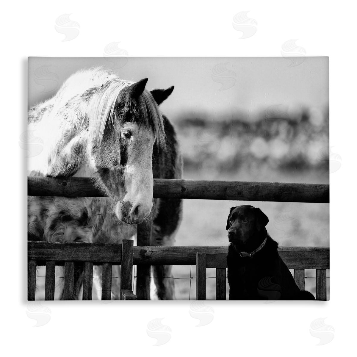 James Dobson Dog & Horse Farm Friends Monochrome Photography Stretched Canvas Wall Art Print