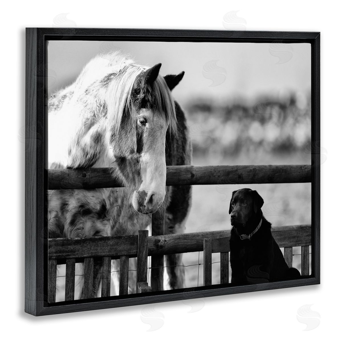 James Dobson Dog & Horse Farm Friends Monochrome Photography Black Floating Frame Canvas Wall Art Print