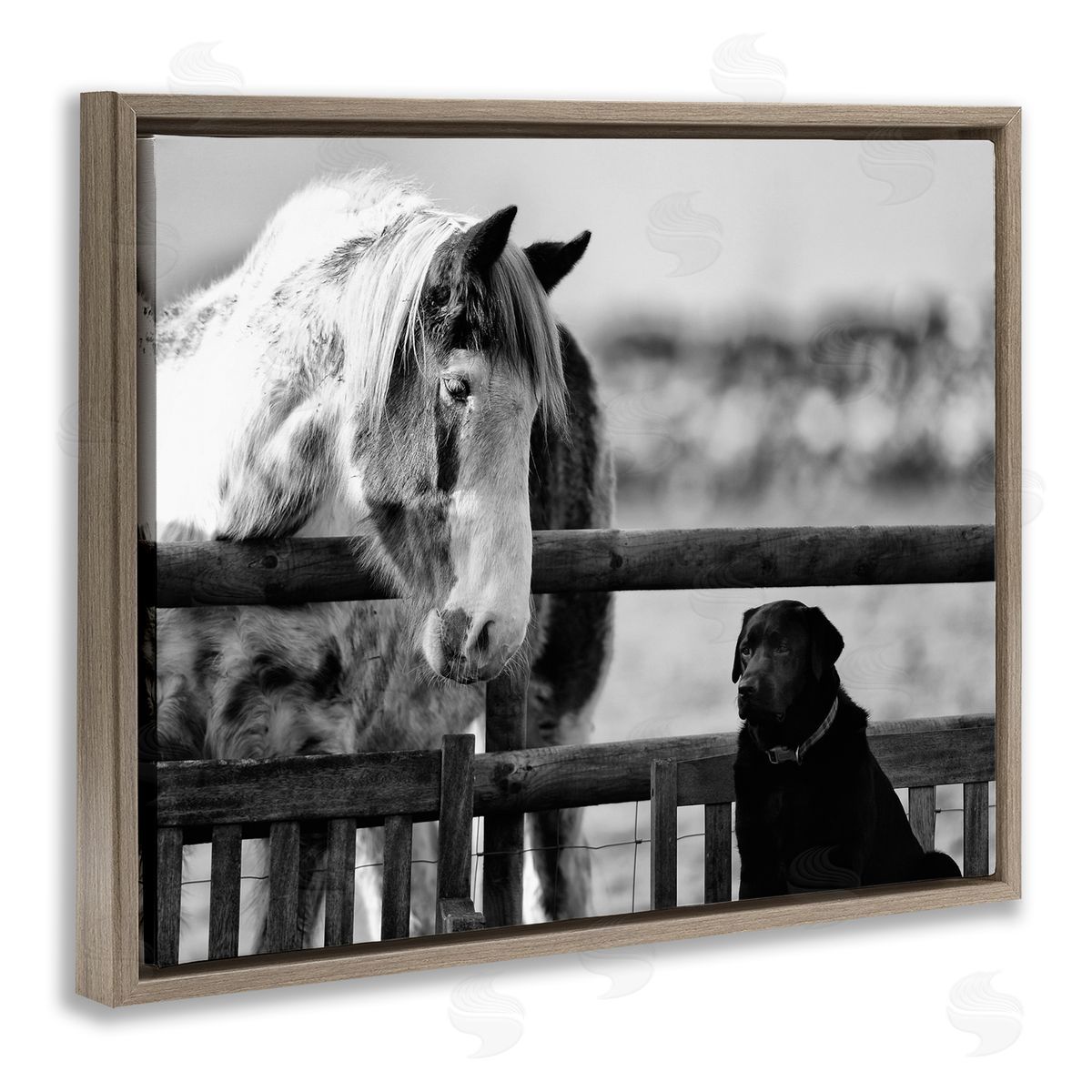 James Dobson Dog & Horse Farm Friends Monochrome Photography Brown Floating Frame Canvas Wall Art Print