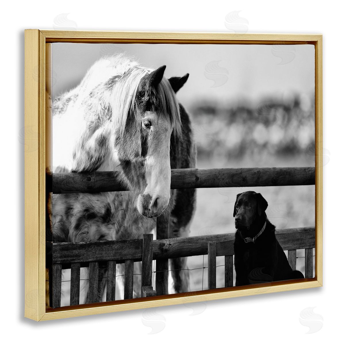 James Dobson Dog & Horse Farm Friends Monochrome Photography Gold Floating Frame Canvas Wall Art Print