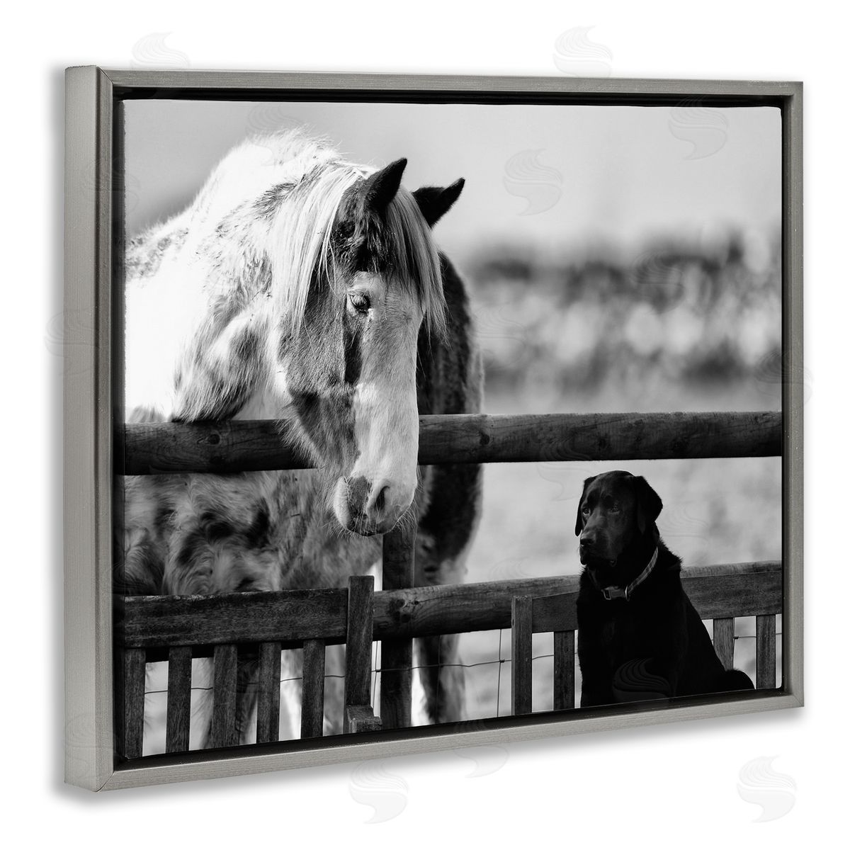 James Dobson Dog & Horse Farm Friends Monochrome Photography Gray Floating Frame Canvas Wall Art Print