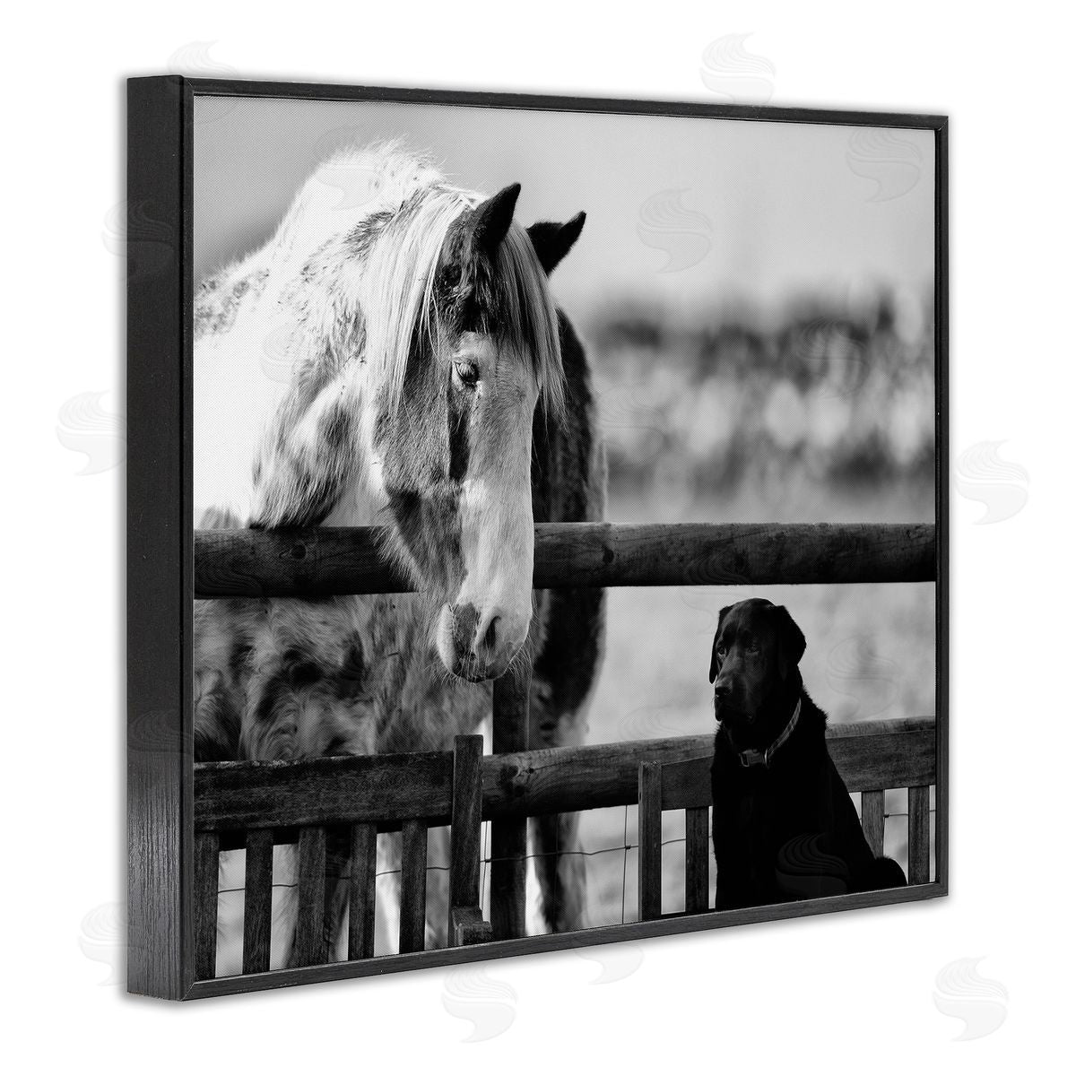James Dobson Dog & Horse Farm Friends Monochrome Photography Black Framed Giclee Wall Art Print