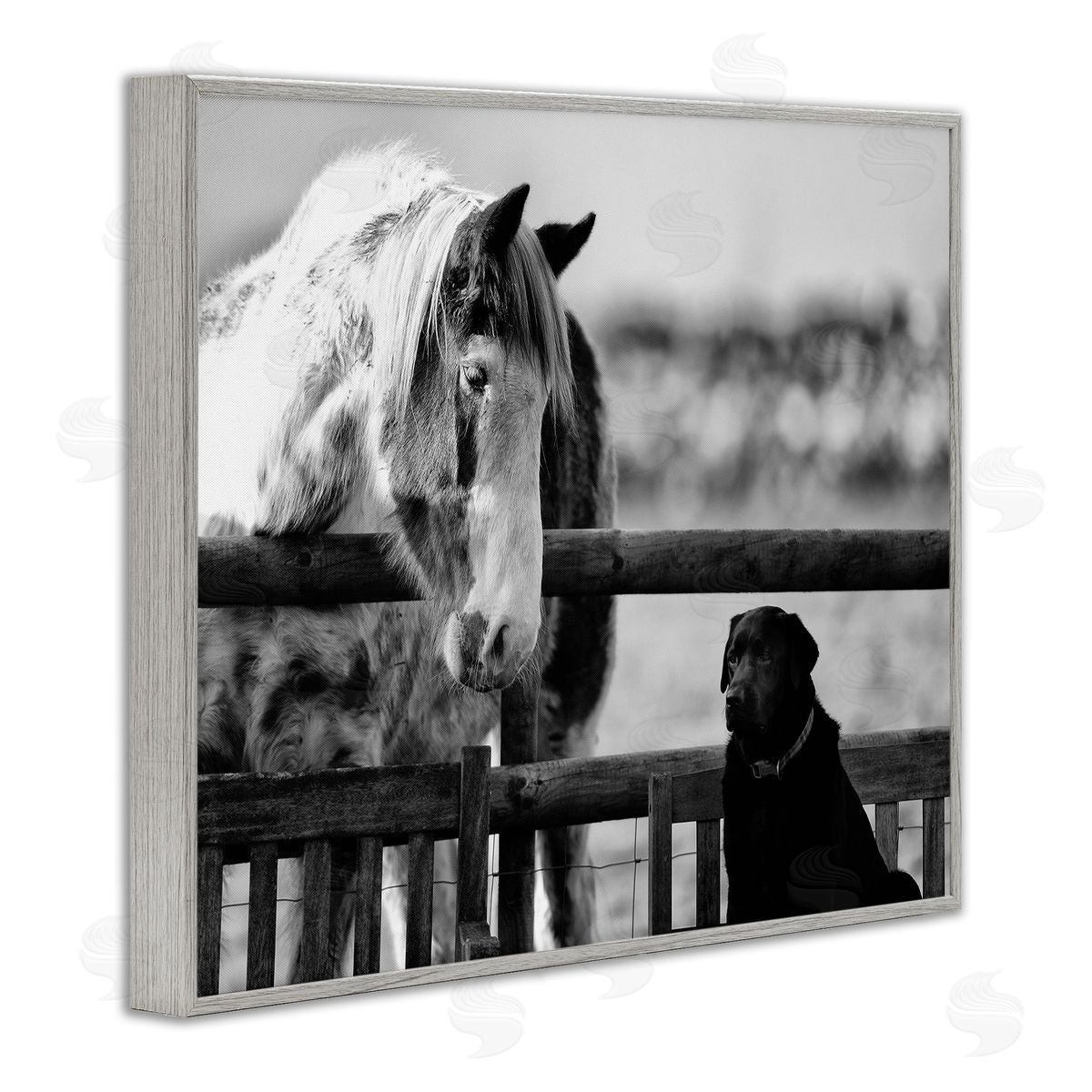 James Dobson Dog & Horse Farm Friends Monochrome Photography Gray Framed Giclee Wall Art Print