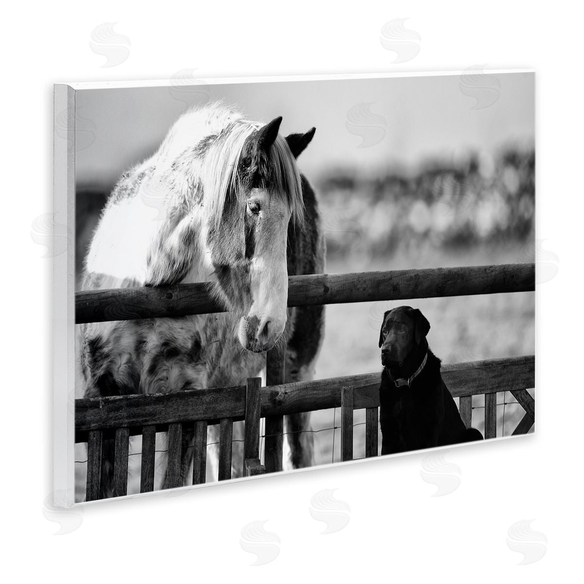 James Dobson Dog & Horse Farm Friends Monochrome Photography Wall Plaque Art Print