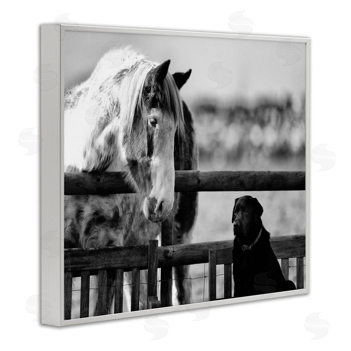 James Dobson Dog & Horse Farm Friends Monochrome Photography White Framed Giclee Wall Art Print